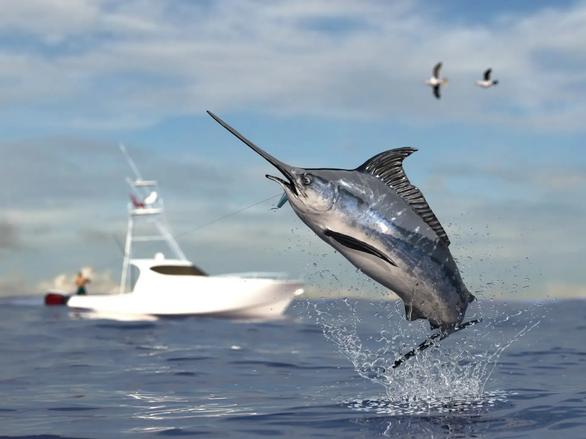 Sailfish jumping clear of the water on an offshore charter out of Placencia, Belize