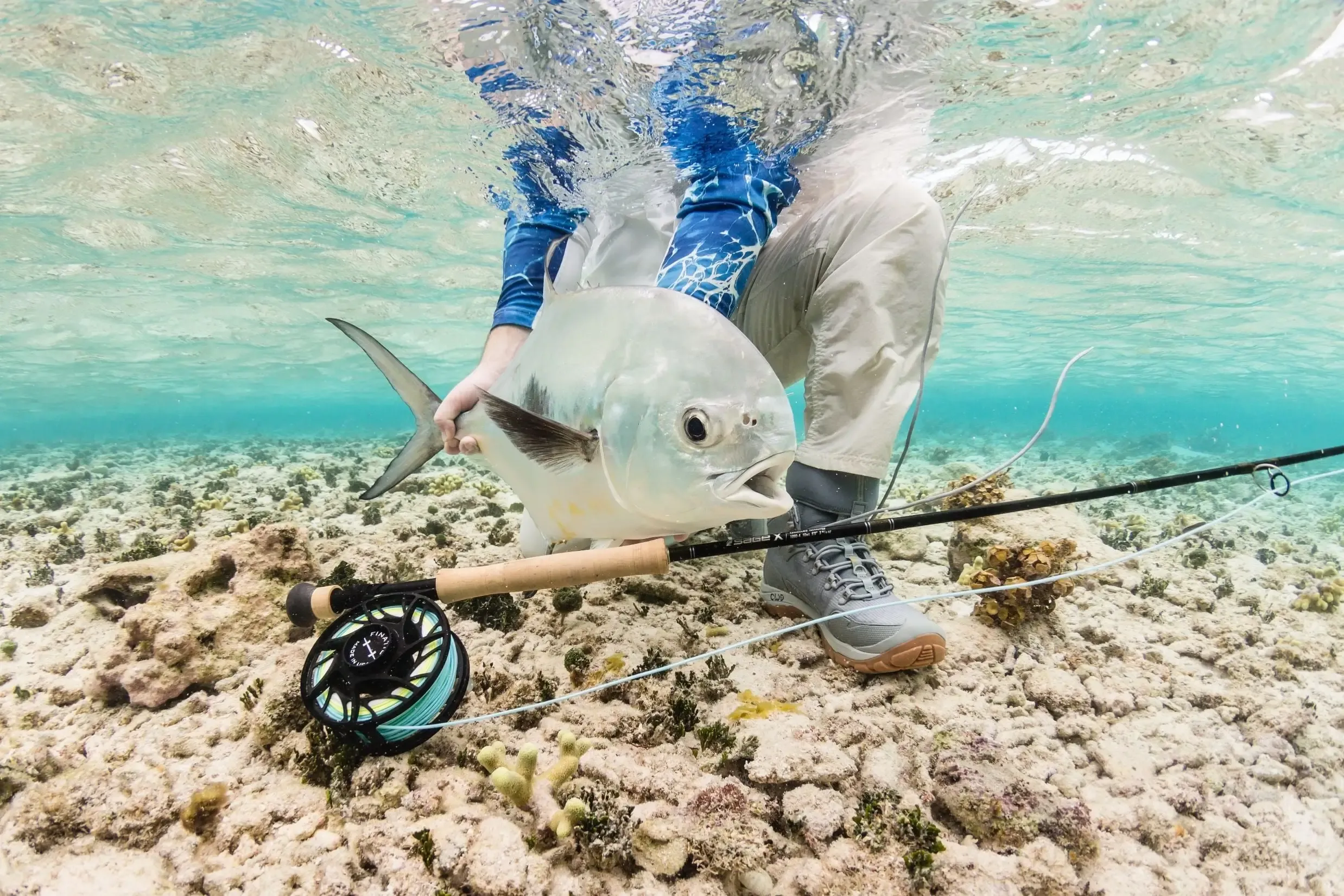 Angler releasing a permit on the flats near Ambergris Caye, Belize — fly fishing target species