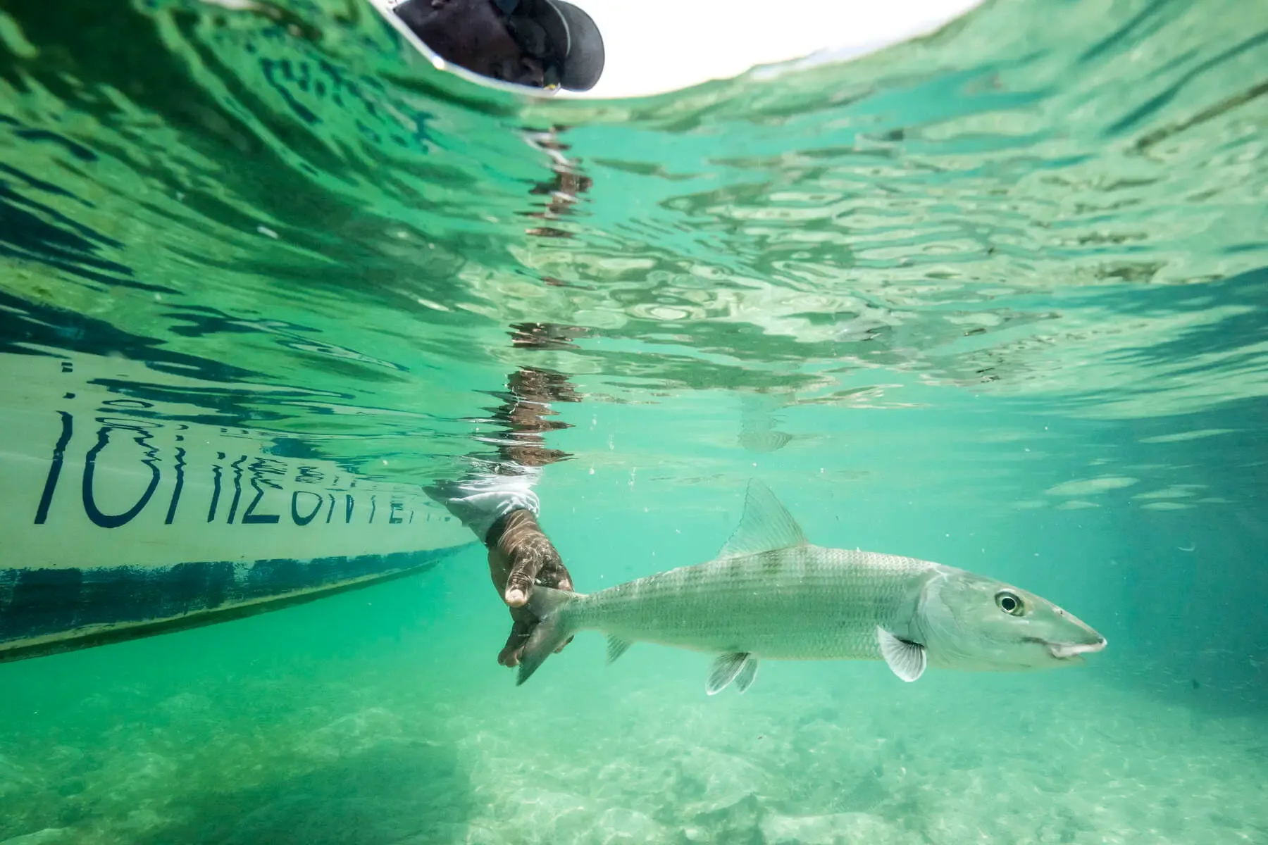 Angler casting to tailing permit on a shallow flat in Belize, fly fishing guide poling the skiff from the stern