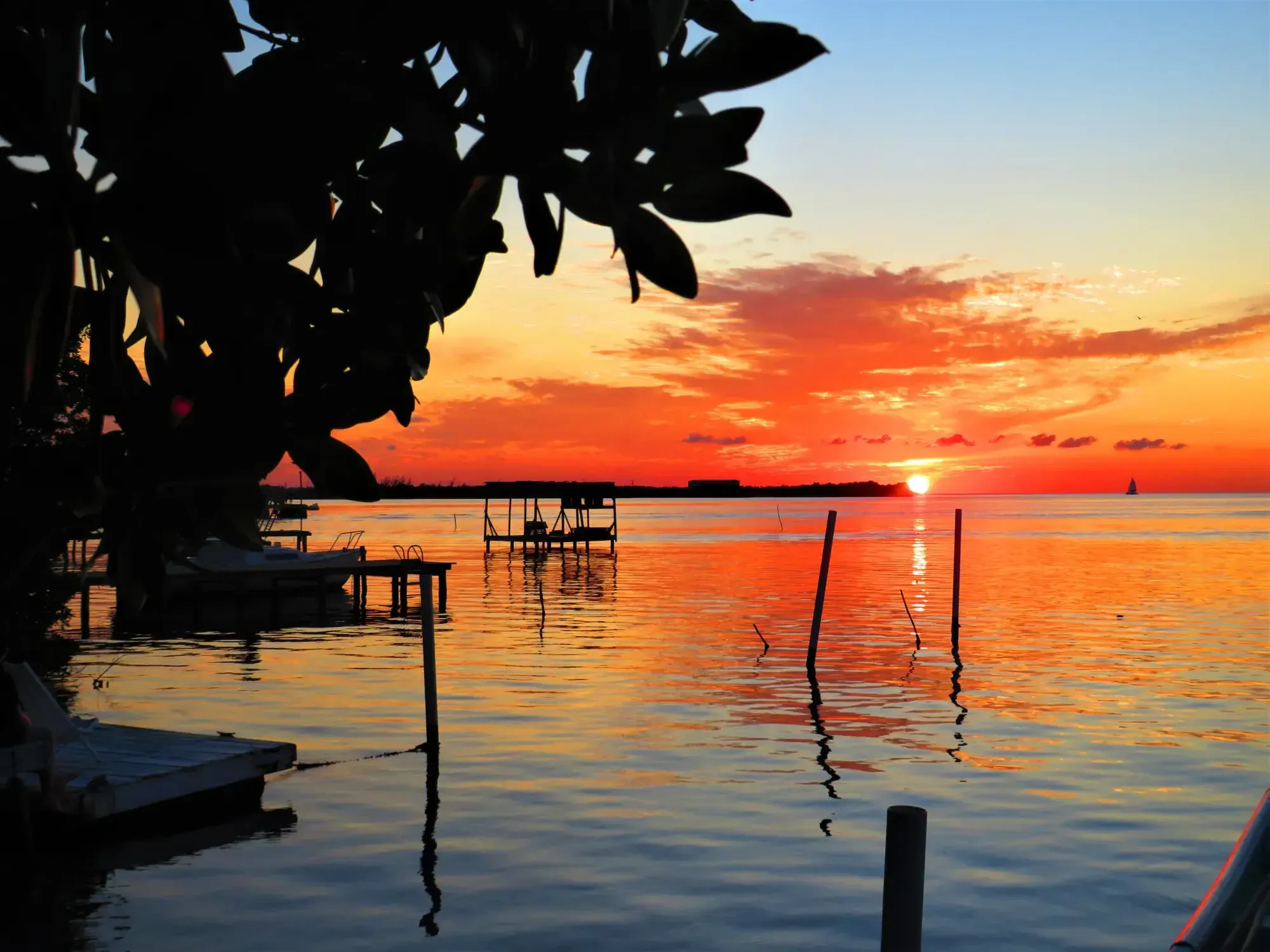 Caye Caulker waterfront at golden hour — colorful boats at dock, calm lagoon, palm trees, the unhurried character of a Belizean island