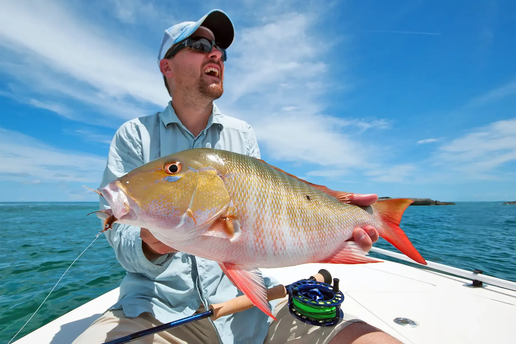 Mutton snapper caught reef fishing near the barrier reef off San Pedro, Belize